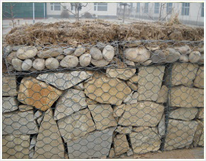 石笼网挡土墙案例图片1