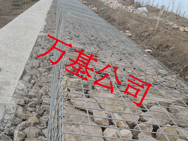 无锈熔接网图片2