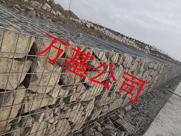 无锈熔接网图片11