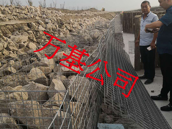 无锈熔接网图片7