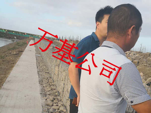 无锈熔接网图片8