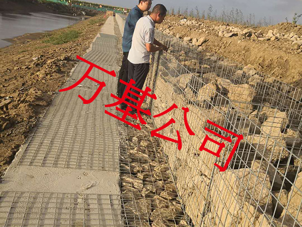 无锈熔接网图片10