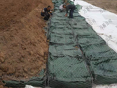 植生固袋图片3
